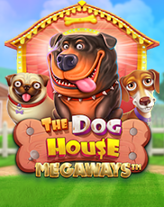 0-game-pop-dhm-img